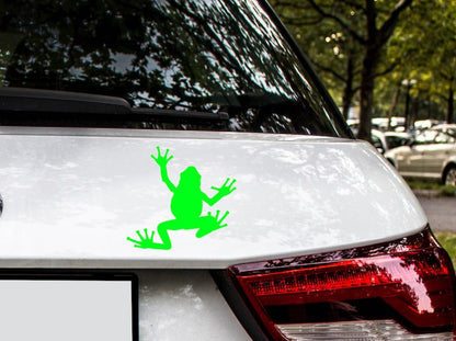 Frog Sticker | Largest Animal Bumper Sticker_driver_clothing_drivi.store